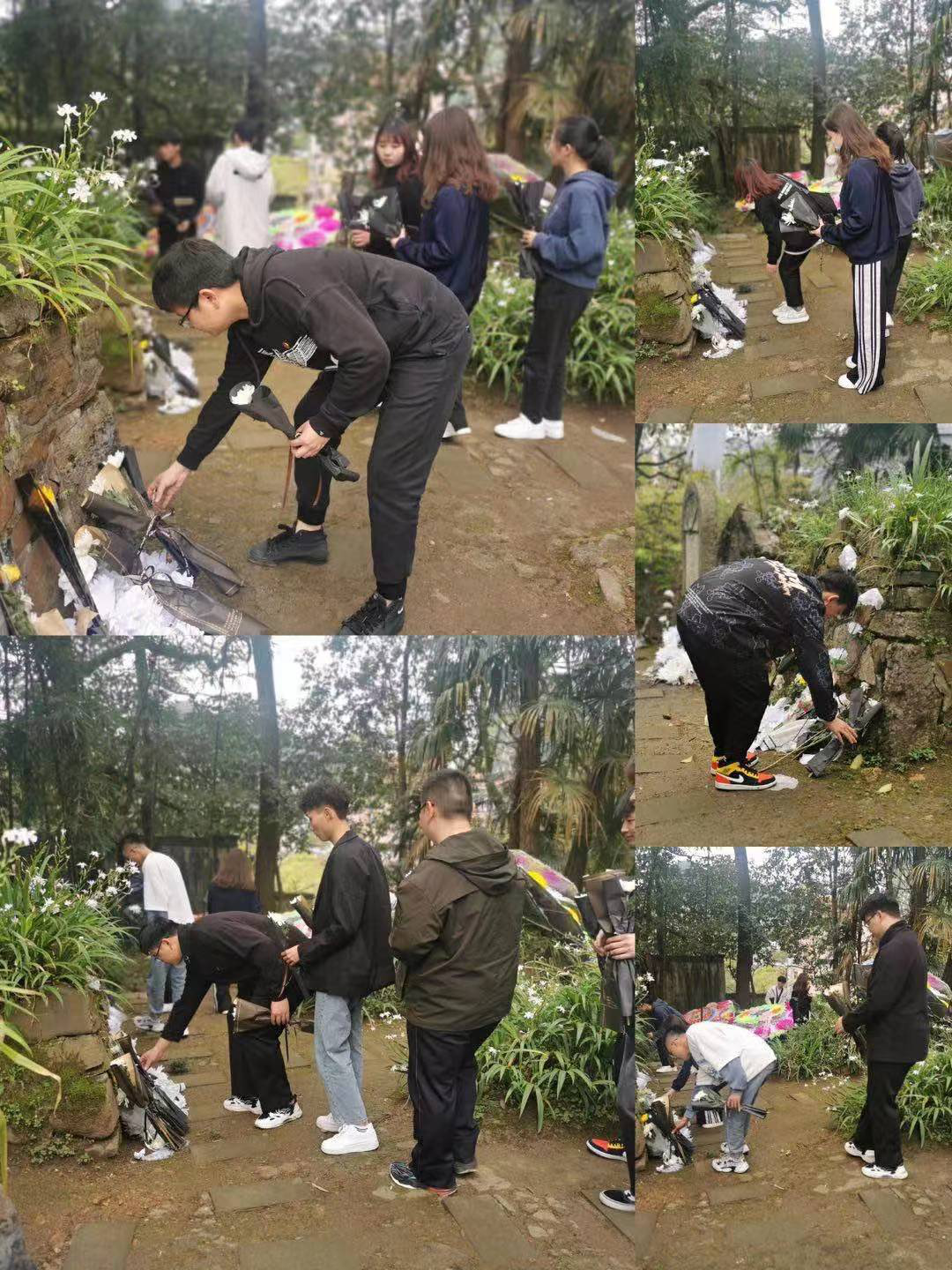 1617697879273082743.png 图片3.png