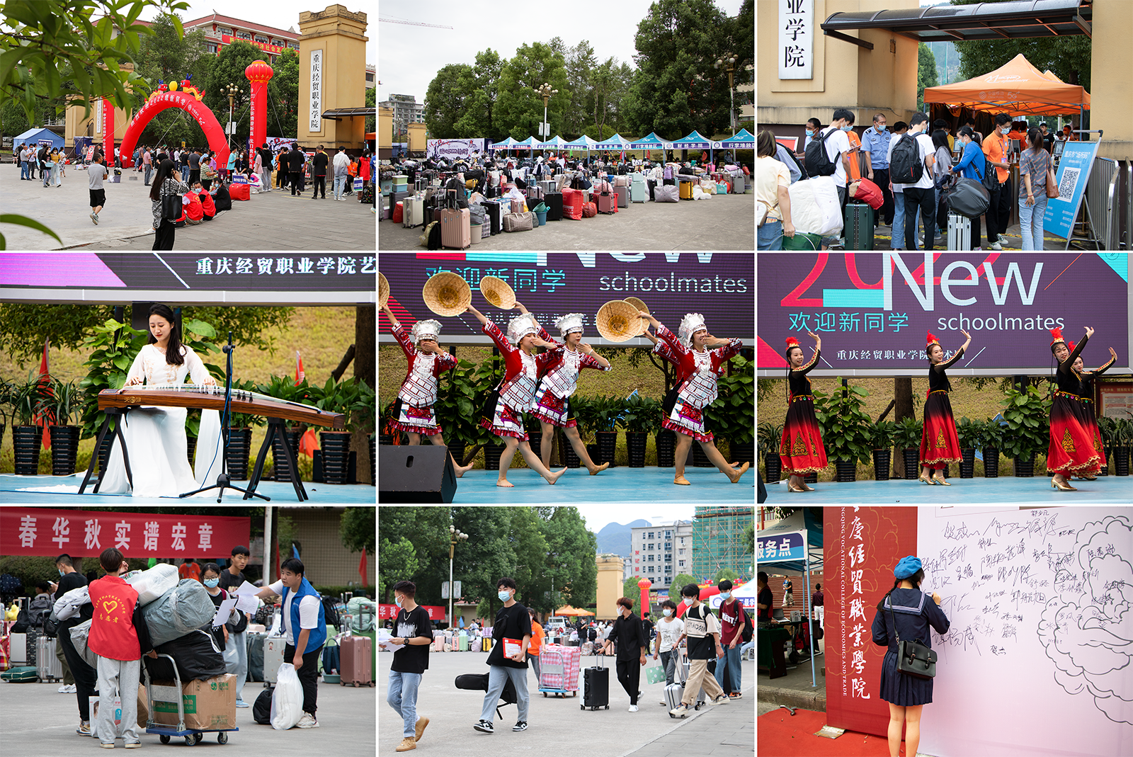 1662532948564016254.png 志愿者.png