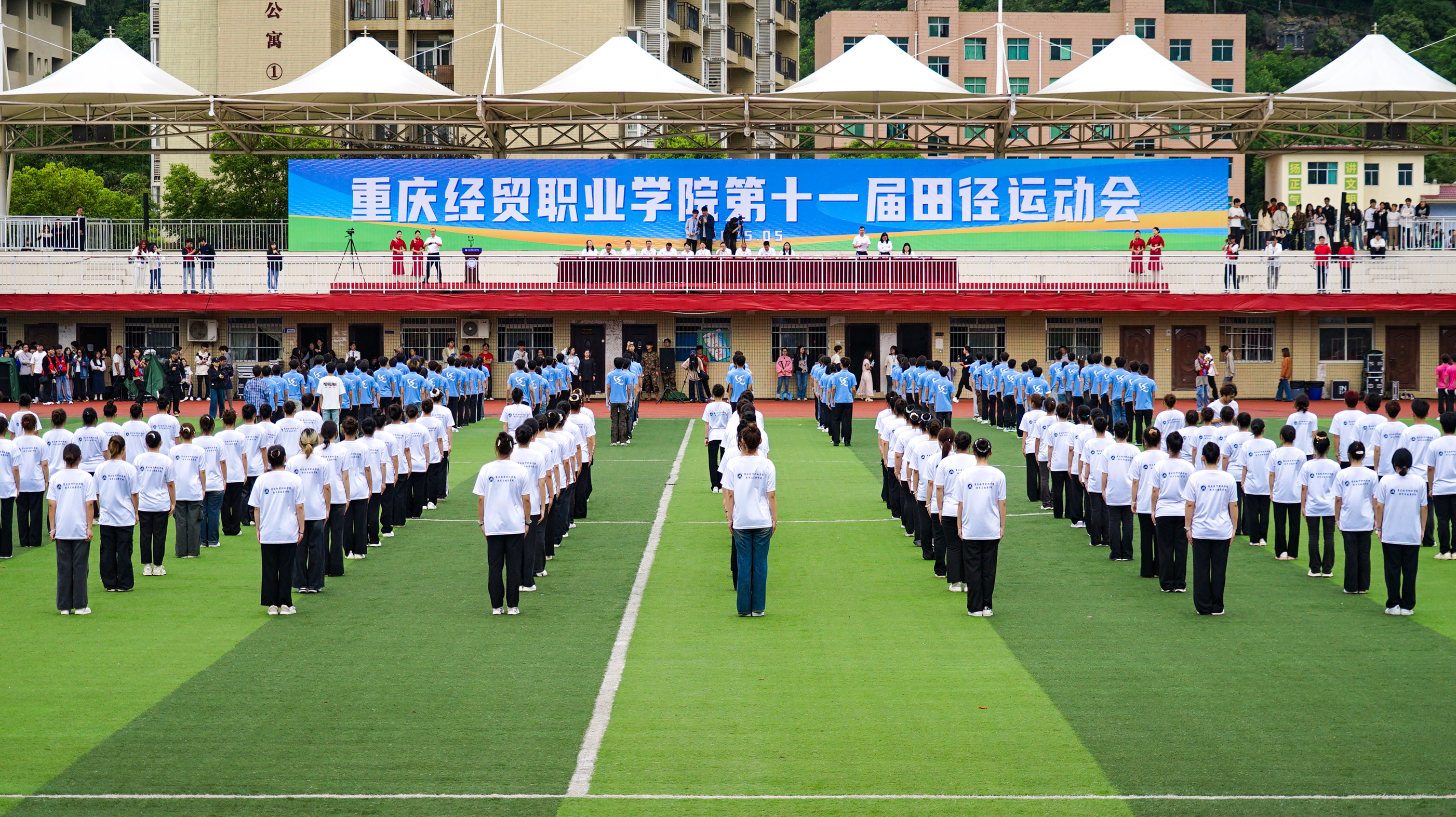 1748509592349002454.jpg 首图1.jpg