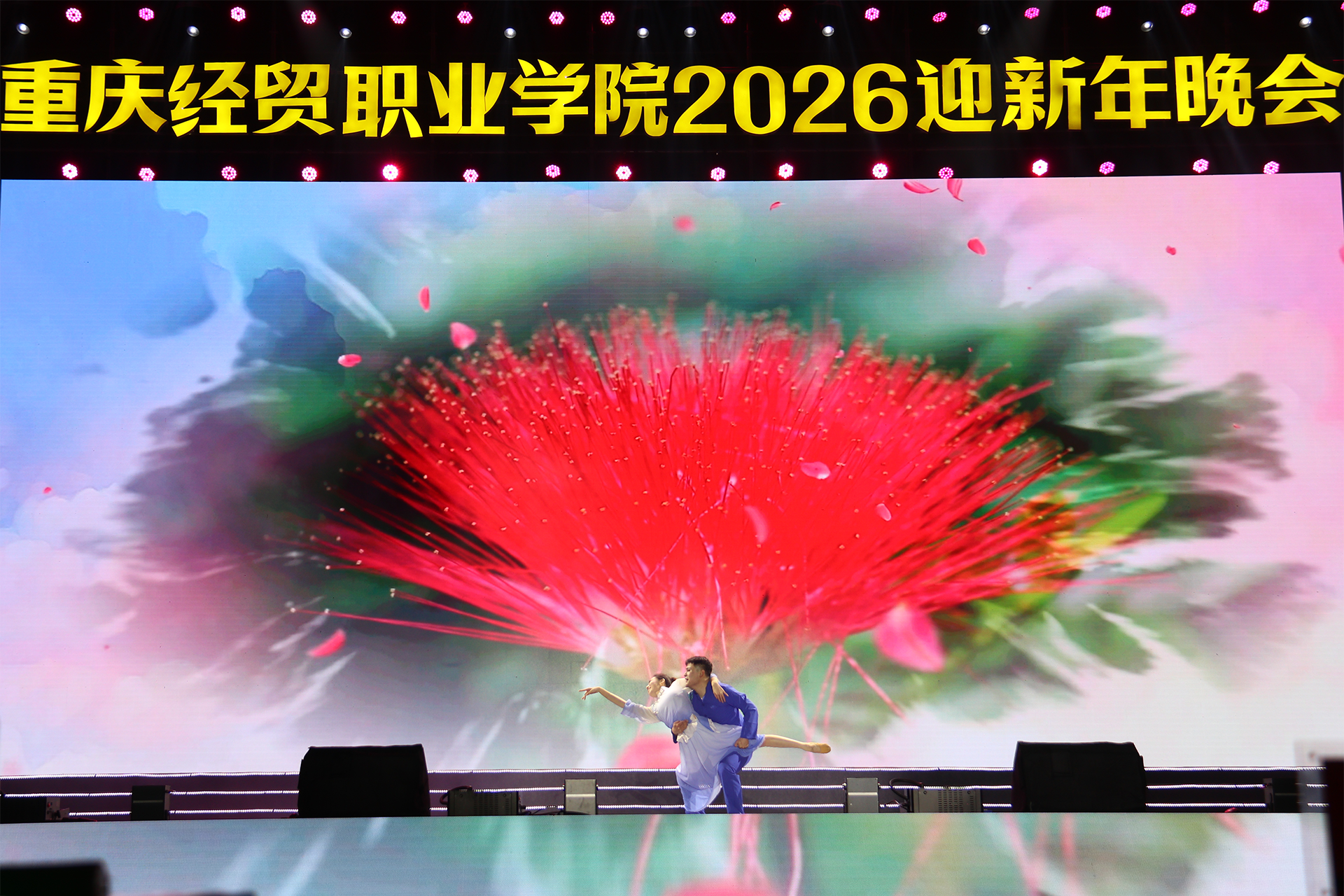 1767081120810029761.png 双人舞《芳华》.png